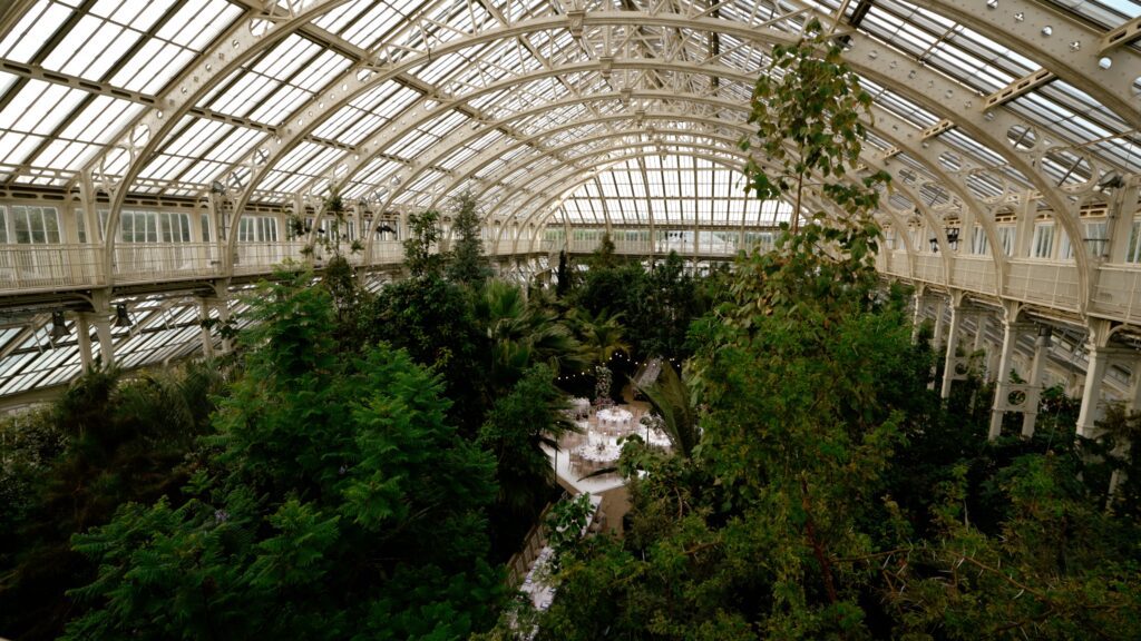a wedding reception in temperate house in kew gardens London,